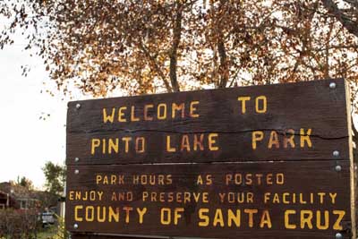 Pinot Parks Pinto Lake County Park